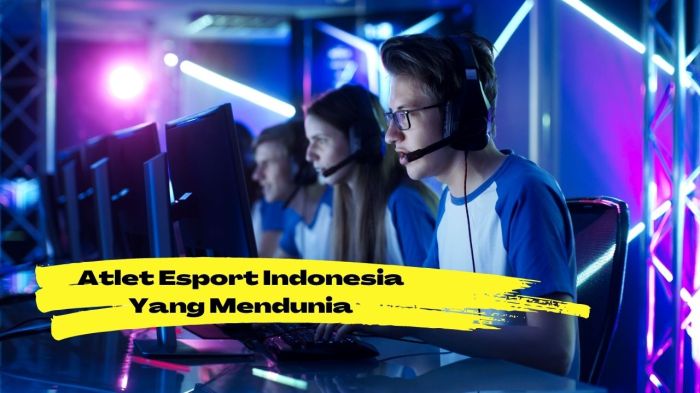 Esports Jadi Cabang Resmi di Ajang Olahraga Internasional